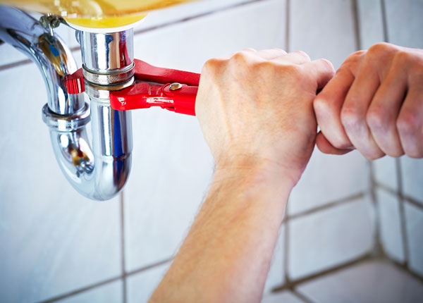 About Forest Hill Plumbers